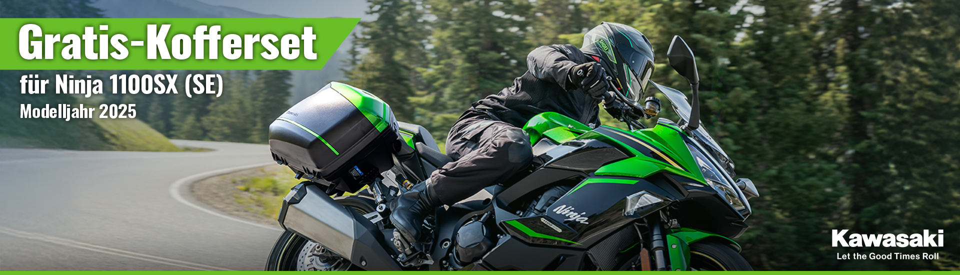 Kawasaki DE Ninja 1100 SX + Kofferset