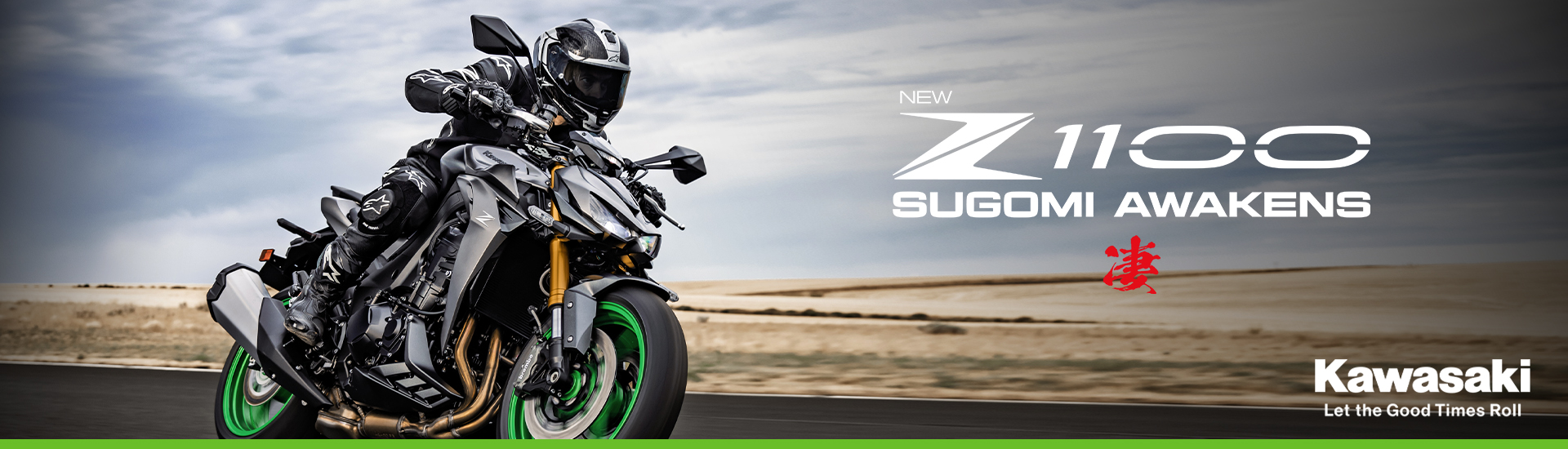 Kawasaki DE Z1100SE